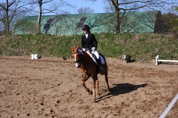 Bild 228 - WBO-Turnier am 9.4.11